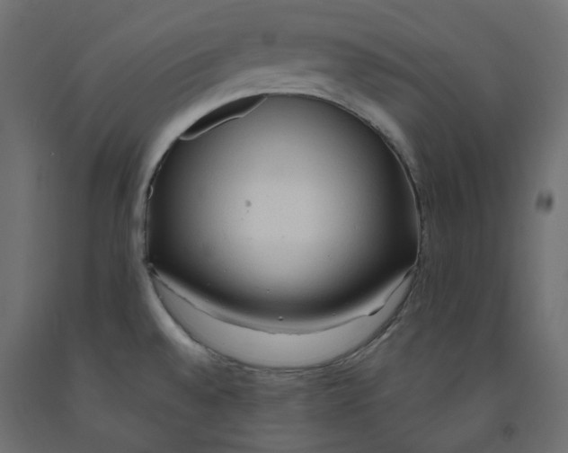 X0000091971528200710041039