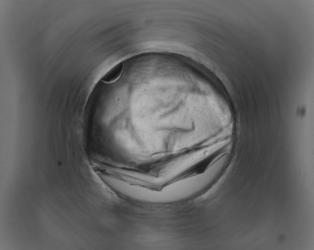 X0000091971529200710041039