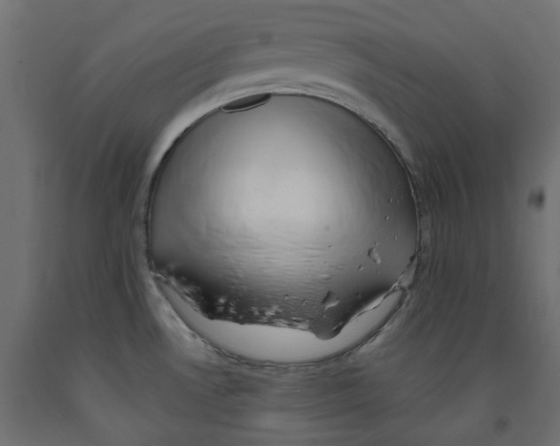 X0000091971530200710041039