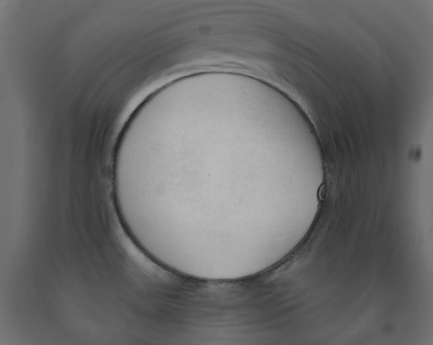 X0000091971531200710041039