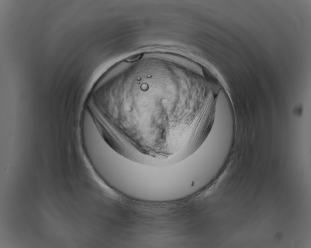 X0000091971533200710041039