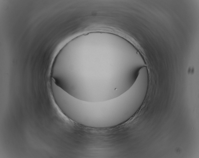 X0000091971536200710041039