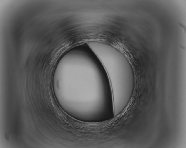X0000091980001200709061201