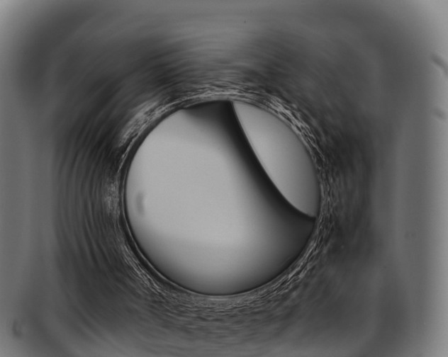 X0000091980002200709061201