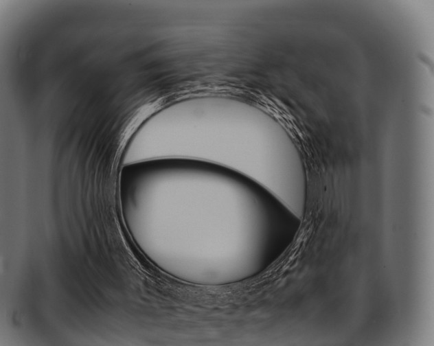 X0000091980003200709061201