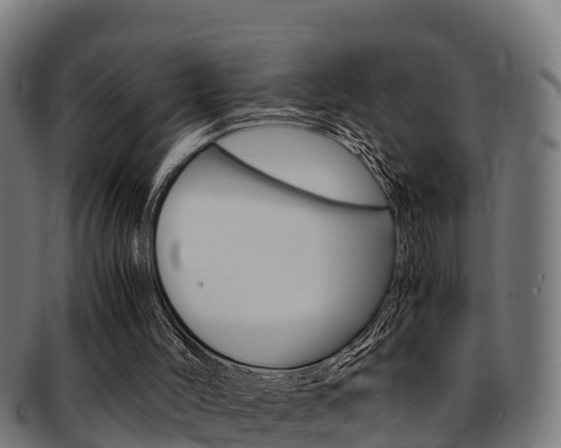X0000091980004200709061201
