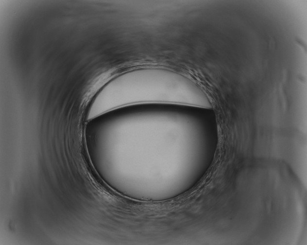 X0000091980005200709061201