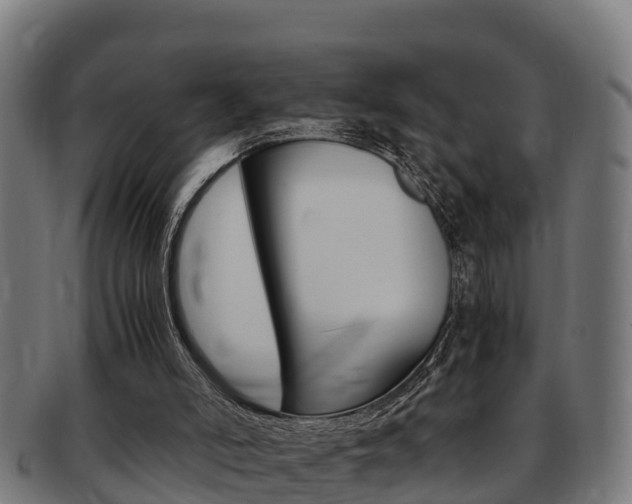 X0000091980006200709061201