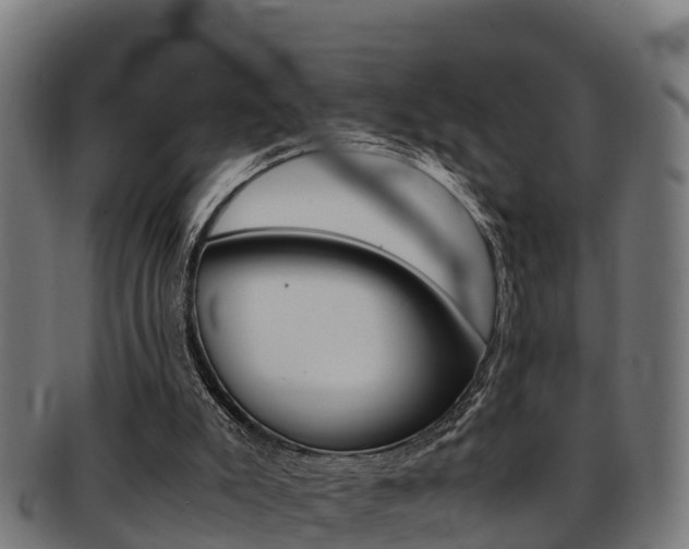 X0000091980007200709061201