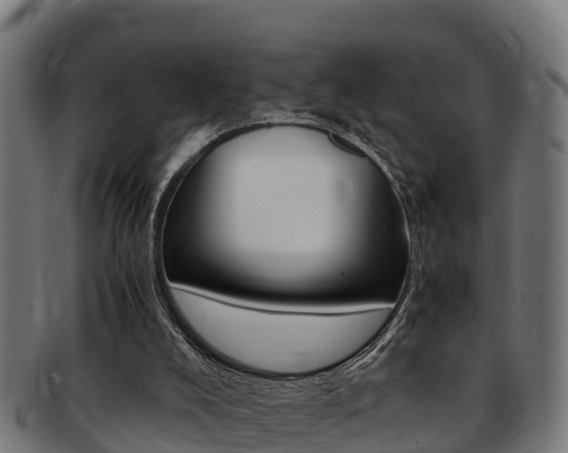 X0000091980008200709061201
