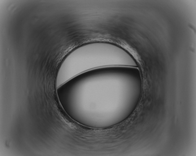 X0000091980009200709061201