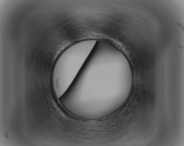 X0000091980010200709061201
