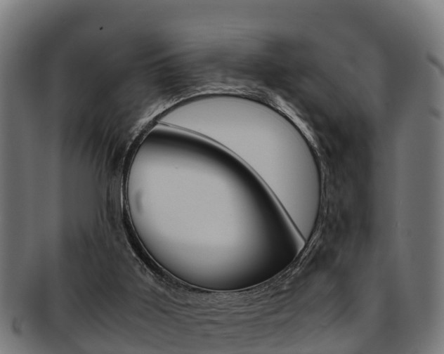 X0000091980011200709061201