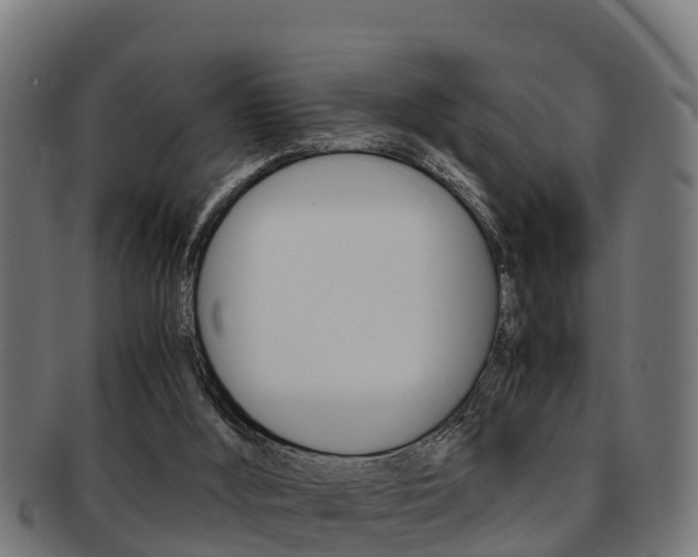 X0000091980012200709061201