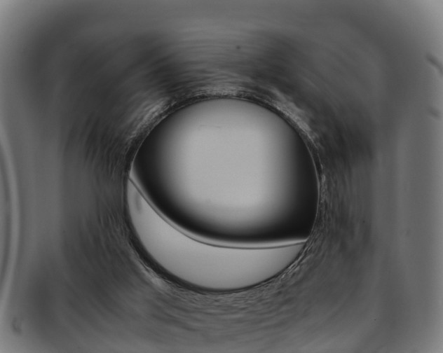 X0000091980013200709061201