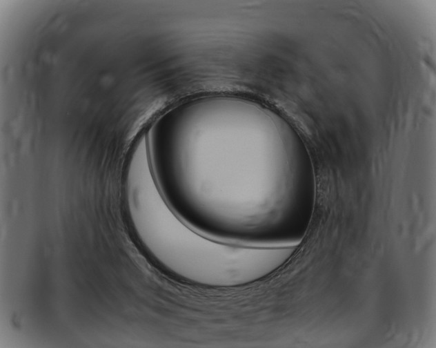 X0000091980015200709061201