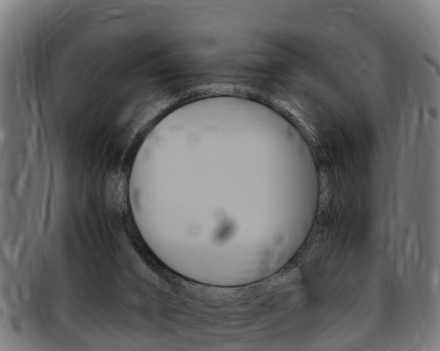 X0000091980016200709061201