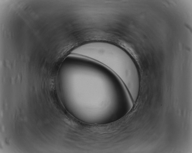 X0000091980017200709061201