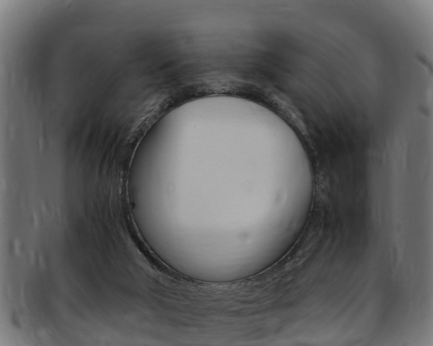 X0000091980018200709061201