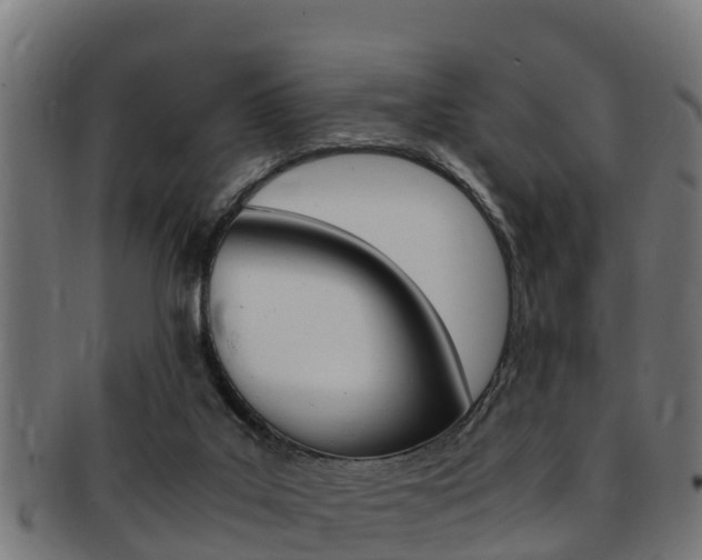 X0000091980019200709061201