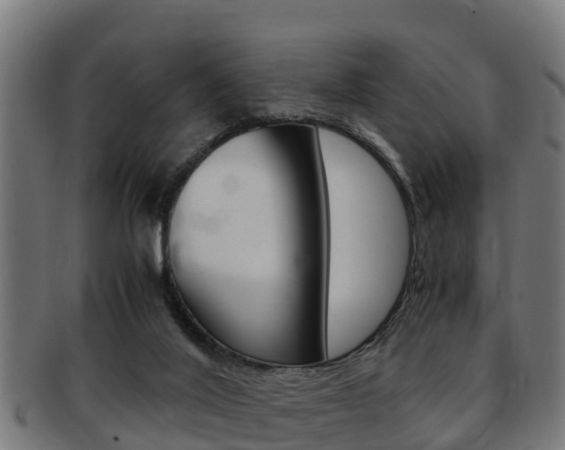 X0000091980020200709061201