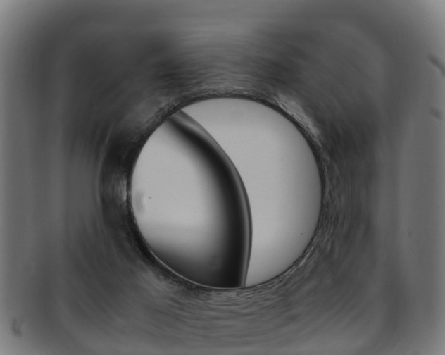 X0000091980021200709061201