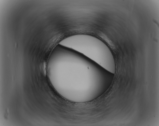 X0000091980022200709061201