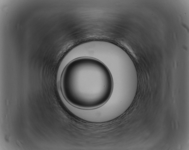 X0000091980023200709061201