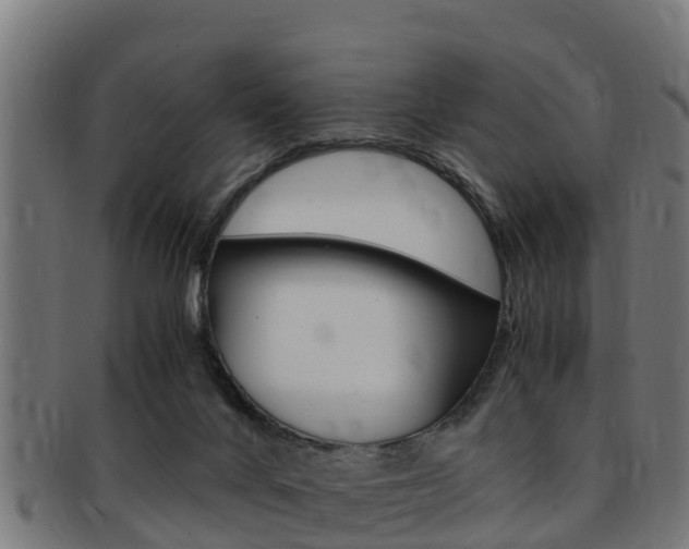 X0000091980024200709061201