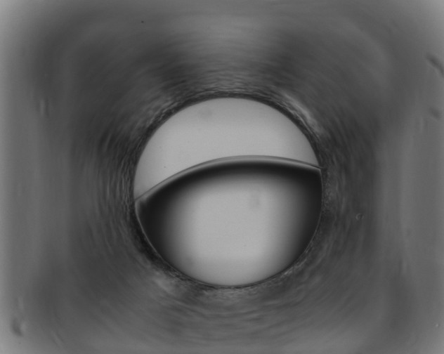 X0000091980025200709061201