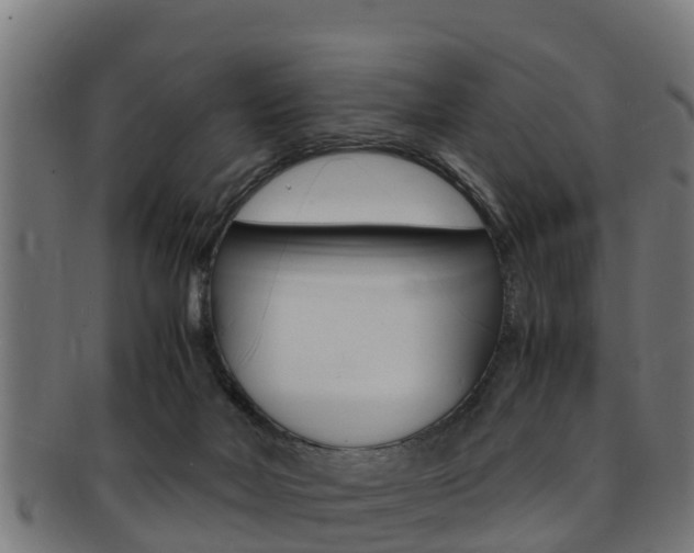 X0000091980026200709061201