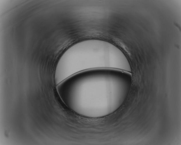 X0000091980027200709061201
