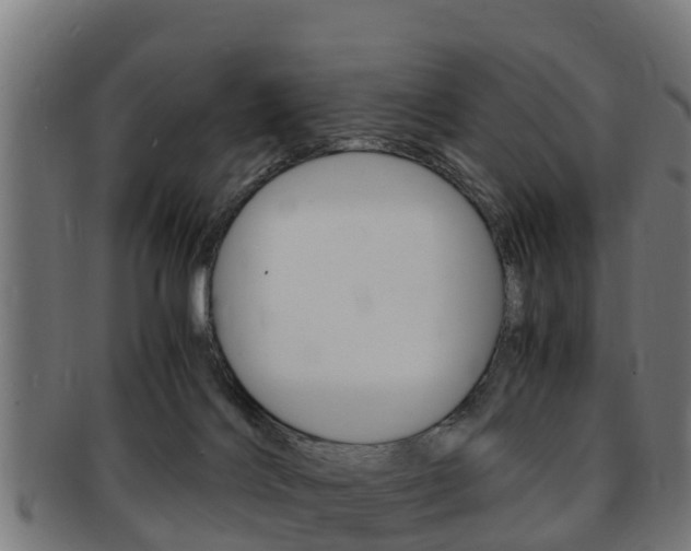 X0000091980028200709061201