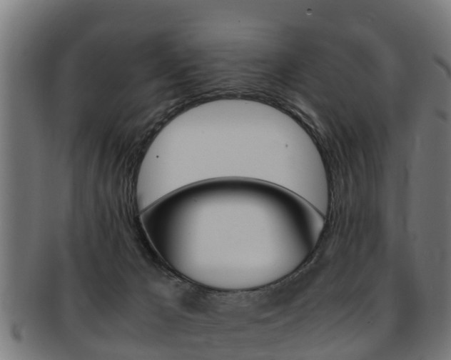X0000091980029200709061201