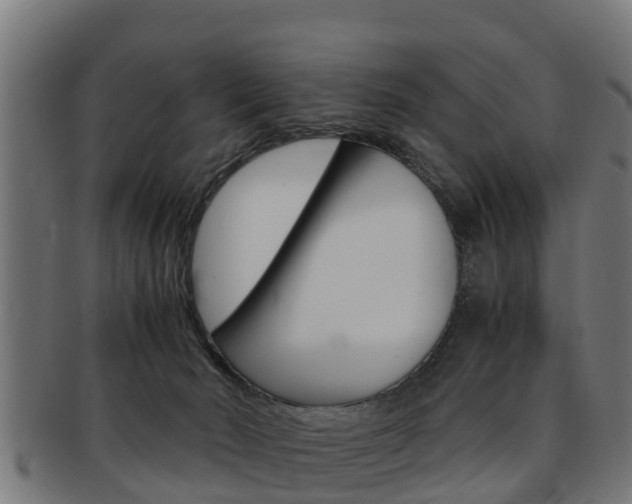 X0000091980030200709061201