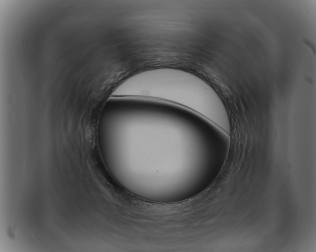 X0000091980031200709061201