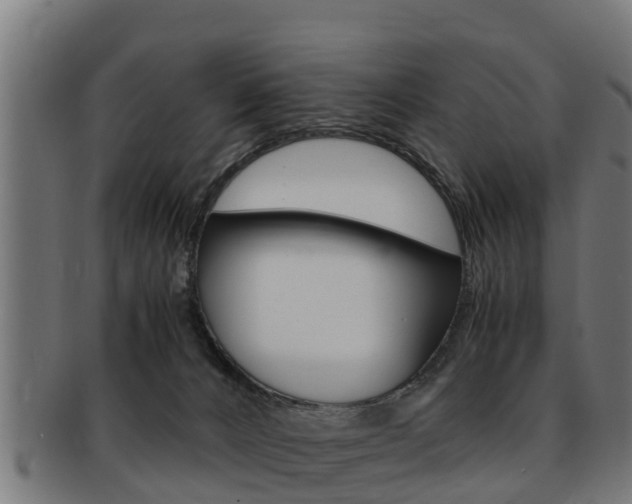 X0000091980032200709061201