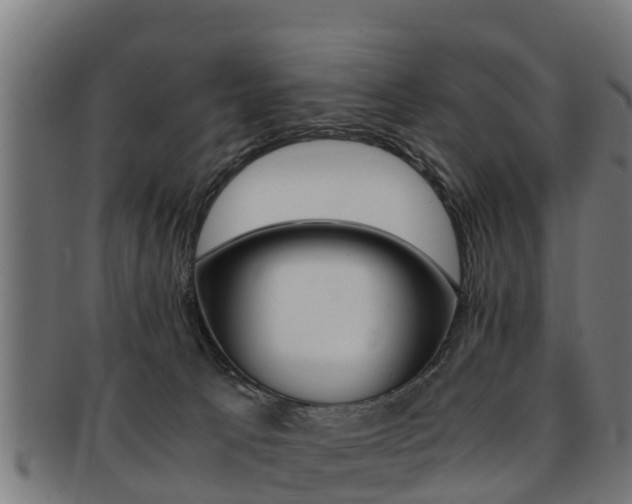 X0000091980033200709061201
