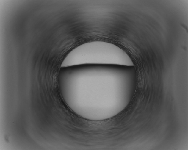 X0000091980034200709061201