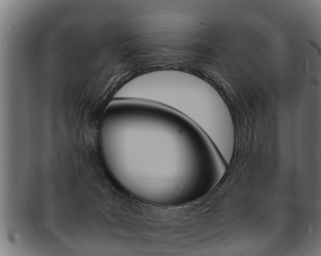 X0000091980035200709061201