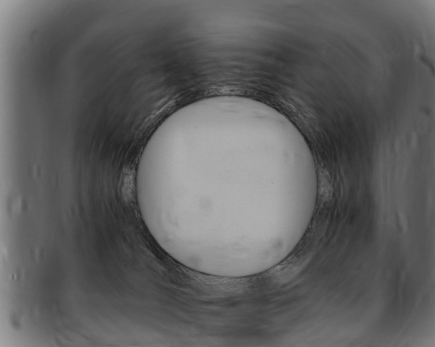 X0000091980036200709061201