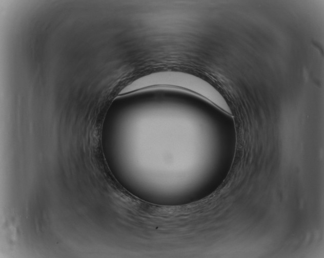 X0000091980037200709061201