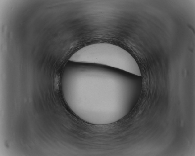 X0000091980038200709061201