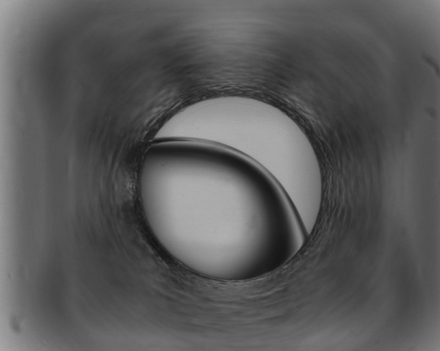 X0000091980039200709061201