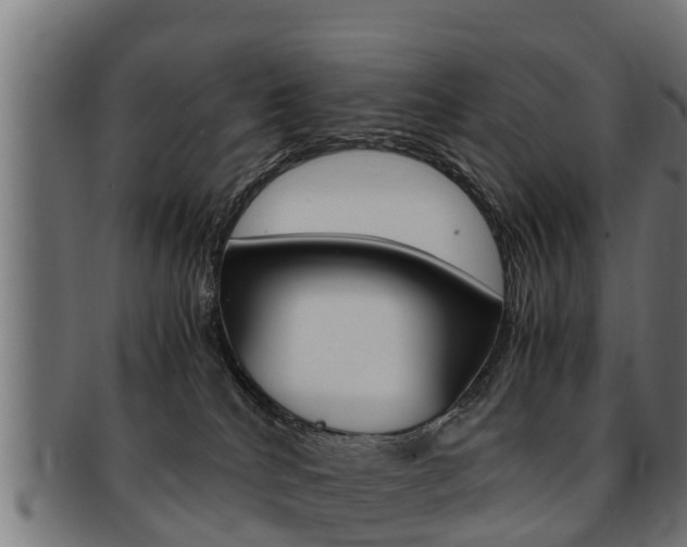X0000091980040200709061201