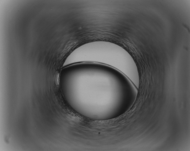 X0000091980041200709061201