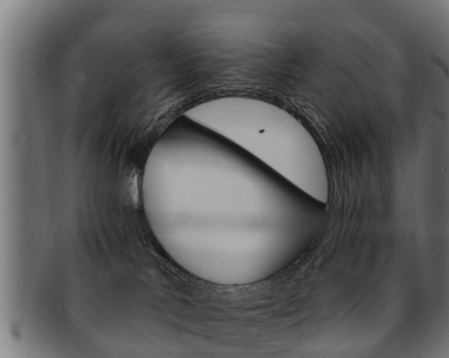 X0000091980042200709061201