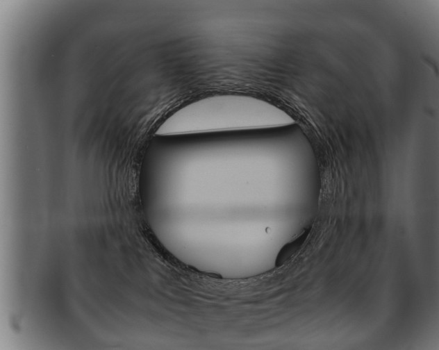 X0000091980043200709061201