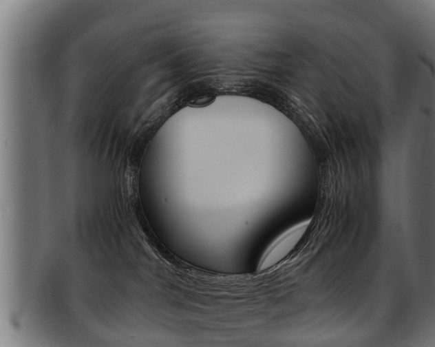 X0000091980044200709061201