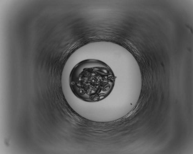 X0000091980045200709061201